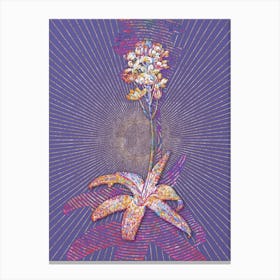 Geometric Sun Star Mosaic Botanical Art on Veri Peri n.0309 Canvas Print