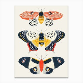 Colourful Insect Illustration Moth 53 Canvas Print