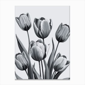 Black And White Tulips 3 Canvas Print