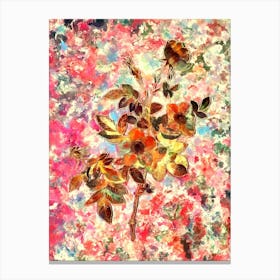 Impressionist Alpine Rose Botanical Painting in Blush Pink and Gold Canvas Print