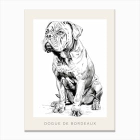 Dogue De Bordeaux Line Sketch 3 Poster Canvas Print