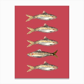 Sardines Fish Kitchen Illustration Watercolour Lienzo