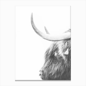 Highland Cow Side Profile Canvas Print