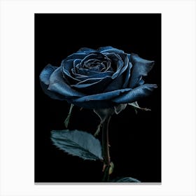 Dark Rose 83 Canvas Print