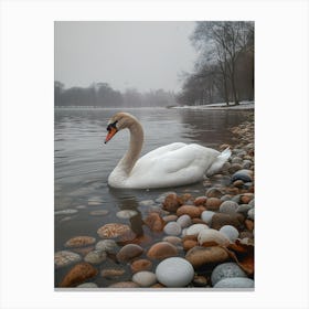 Swan In The Lake Canvas Print