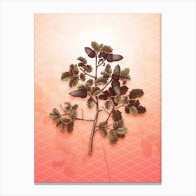 Kermes Oak Vintage Botanical in Peach Fuzz Hishi Diamond Pattern n.0138 Canvas Print