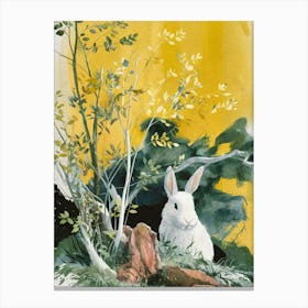 White Rabbit Canvas Print