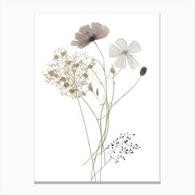 Minimalist Wildflower Botanical Neutral Flower Canvas Print