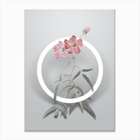 Vintage Peach Leaved Rose Minimalist Floral Geometric Circle on Soft Gray n.0157 Canvas Print