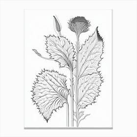 Burdock Herb William Morris Inspired Line Drawing 2 Canvas Print