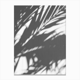 Shadows Of Palm Leaves Canvas Print