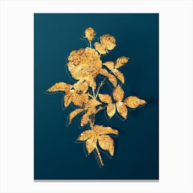Vintage One Hundred Leaved Rose Botanical in Gold on Teal Blue n.0230 Canvas Print