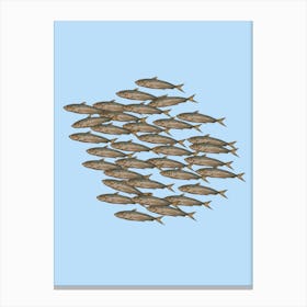 A Family of Sardines 3 Illustration Leinwandbild