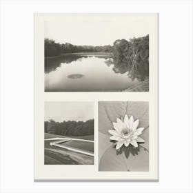 Lotus Flower Photo Collage 3 Canvas Print