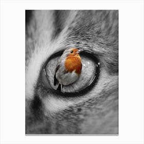 Robin's Eye Canvas Print