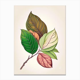 Rhododendron Leaf Warm Tones Canvas Print