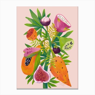 Exotic Fruits On Pink Background Canvas Print