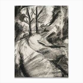Dark Forest Road Canvas Print