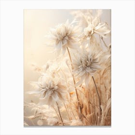 Boho Dried Flowers Edelweiss 4 Canvas Print