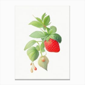 Strawberry Plant,, Fruit, Pastel Watercolour Canvas Print