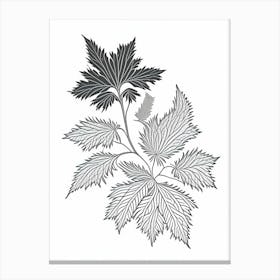 Nettle Herb William Morris Inspired Line Drawing 3 Canvas Print