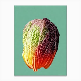 Lettuce 2 Bold Graphic vegetable Canvas Print