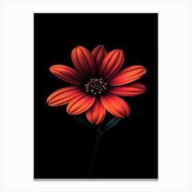 Daisy 12 Canvas Print