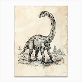 Camarasaurus Dinosaur Black Ink Illustration 3 Canvas Print
