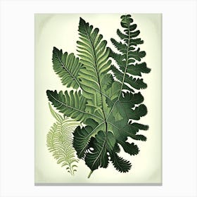 Southern Maidenhair Fern 1 Vintage Botanical Poster Canvas Print