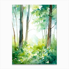 Watercolor Of A Forest 6 Canvas Print