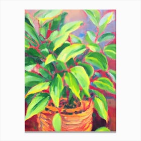 Chinese Evergreen 3 Impressionist Painting Plant Canvas Print