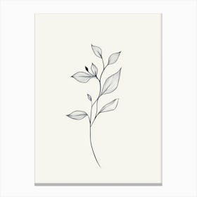 Simple Drawing Of A Leaf Canvas Print