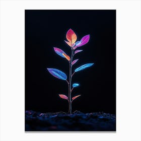 Plant In The Dark 39 Canvas Print