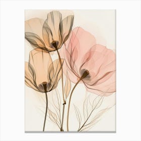 Poppies Canvas Print 4 Canvas Print