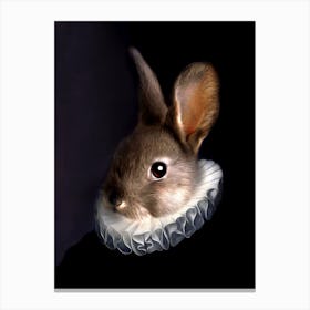 Dutch Master Jake Rabbit With White Collar Pet Portraits Canvas Print