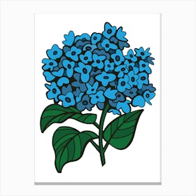 Blue Hydrangea Contemporary Botanical Illustration Canvas Print