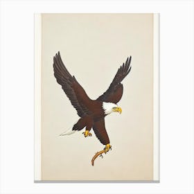 Eagle Illustration Bird Canvas Print