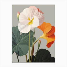 Flower Illustration Nasturtium 4 Canvas Print