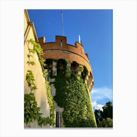 Castle and Vines In Ibiza (Spain Series) Canvas Print