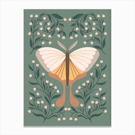 Moth On A Muted Green Background Botanical Canvas Print