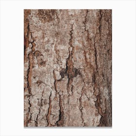 Natural Tree Bark Texture Canvas Print