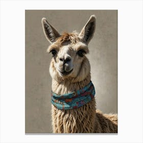 Llama 23 Canvas Print