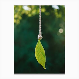 Green Leaf Hanging On A Rope Canvas Print