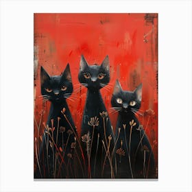 Three Black Cats Canvas Print