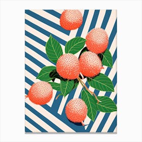 Lychee Fruit Summer Illustration 4 Canvas Print