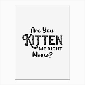 Are You Kitten Me Right Meow Canvas Print