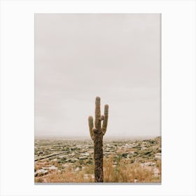 Phoenix Arizona Cactus Canvas Print