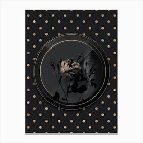 Shadowy Vintage Anemone Sweetbriar Rose Botanical in Black and Gold 1 Canvas Print