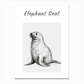 B&W Elephant Seal Poster Canvas Print