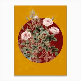 Vintage Botanical Rosier Pompon on Circle Red on Yellow n.0131 Canvas Print